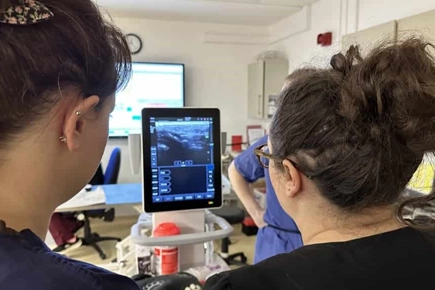 Somerset Animal Hospital Invests £25,000 In Targeted Anaesthesia Care For Pets